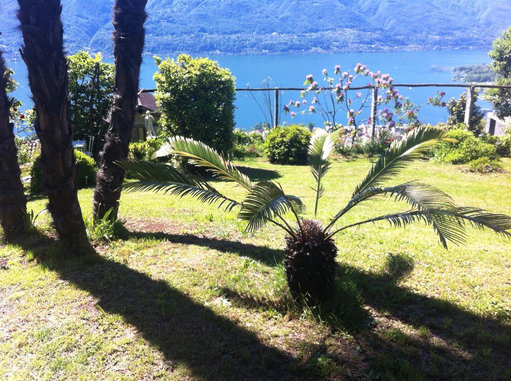 Sonnenstrahl Leilighet Locarno Eksteriør bilde
